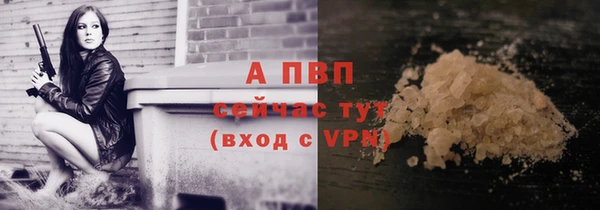 2c-b Гусев