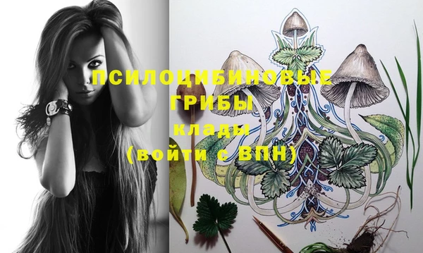 PSILOCYBIN Гусиноозёрск