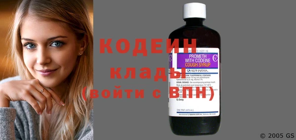 2c-b Гусев