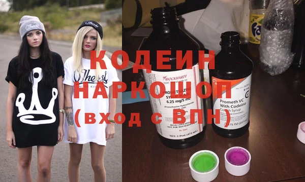 сатива Гусь-Хрустальный