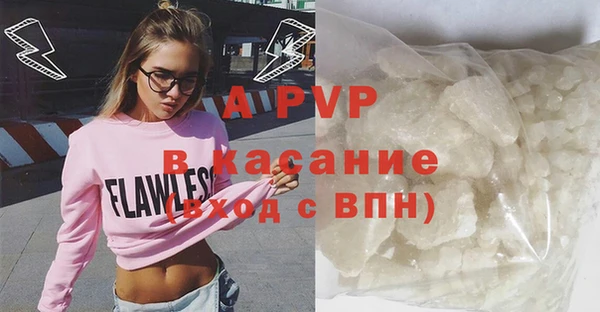 PSILOCYBIN Гусиноозёрск