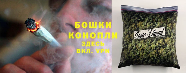 PSILOCYBIN Гусиноозёрск